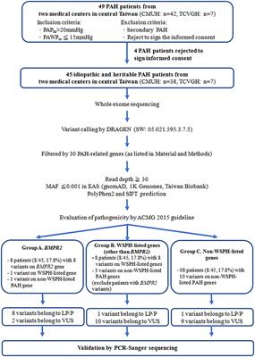 Whole Exome Sequencing of Patients With Heritable and Idiopathic Pulmonary Arterial Hypertension in Central Taiwan